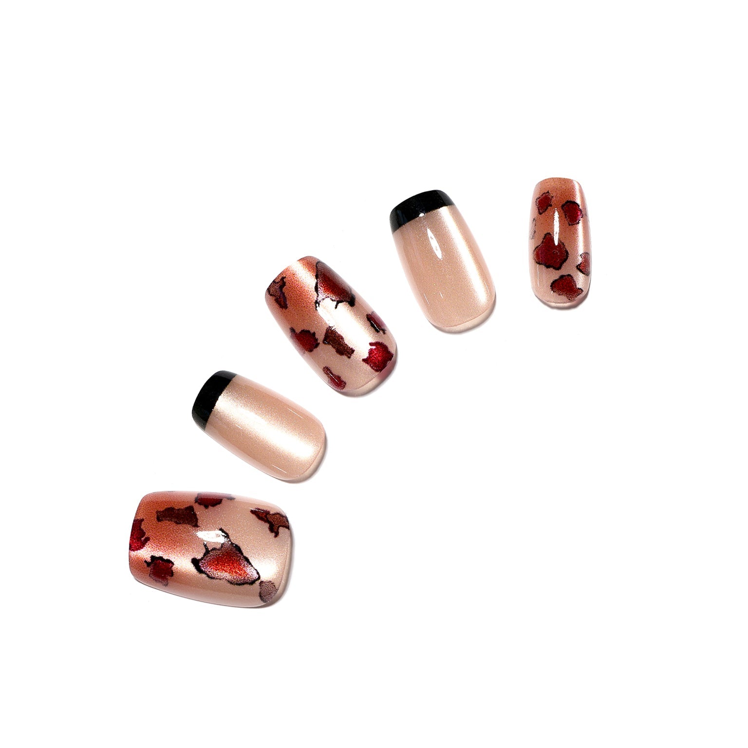 Shadowed Rose leopard French square press-on nails on nude base with black tips and rose spots