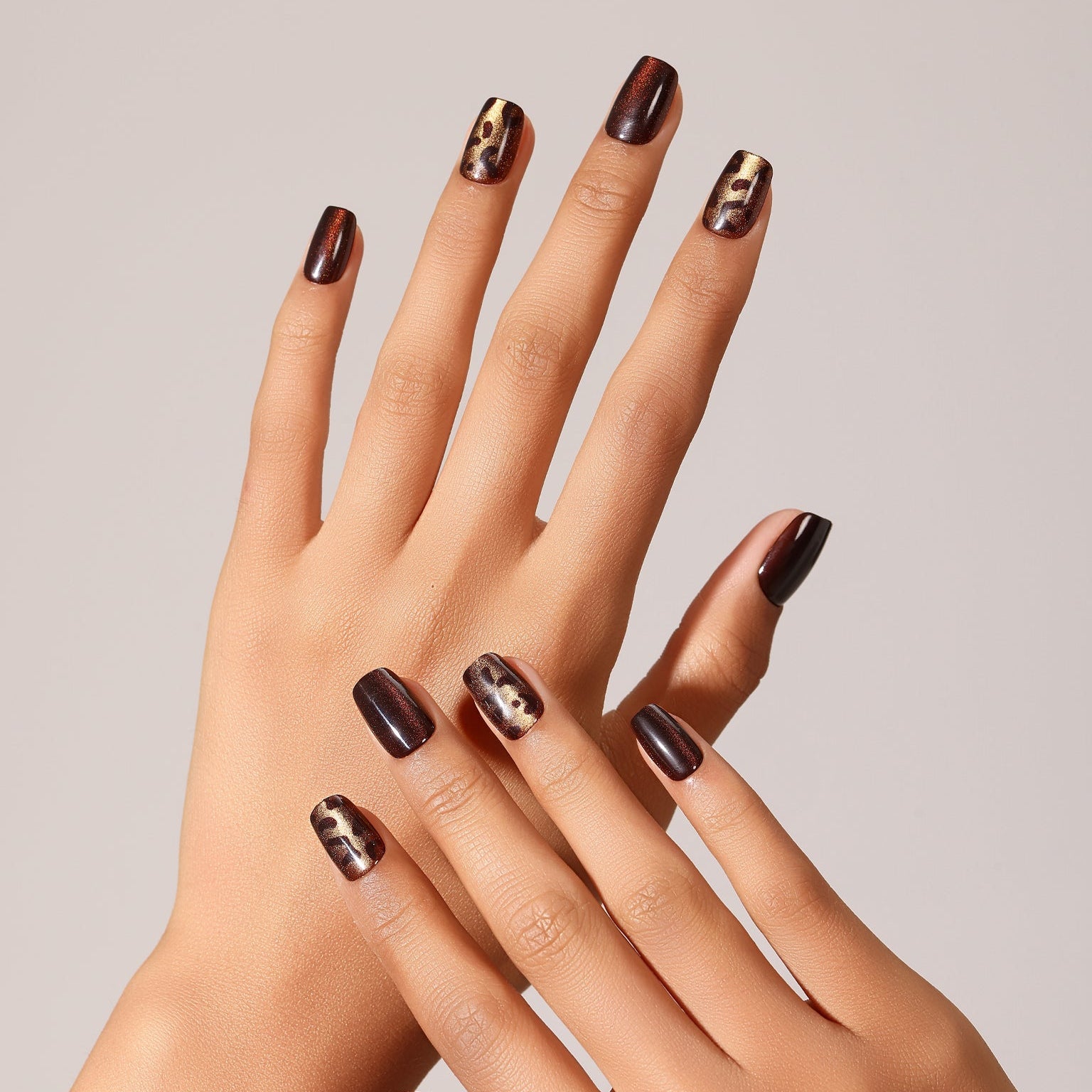 Flat lay Dark Jungle press-on nails deep brown cat eye and tortoiseshell leopard design set