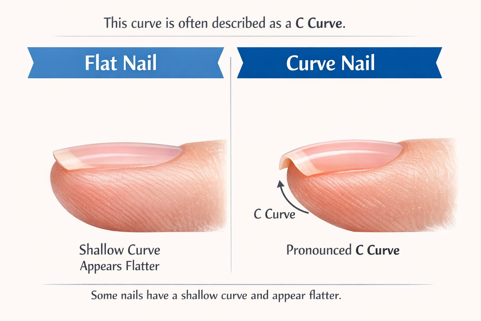 Flat Nail Beds vs. Curved Nail Beds. How to Choose Press On Nails That ...